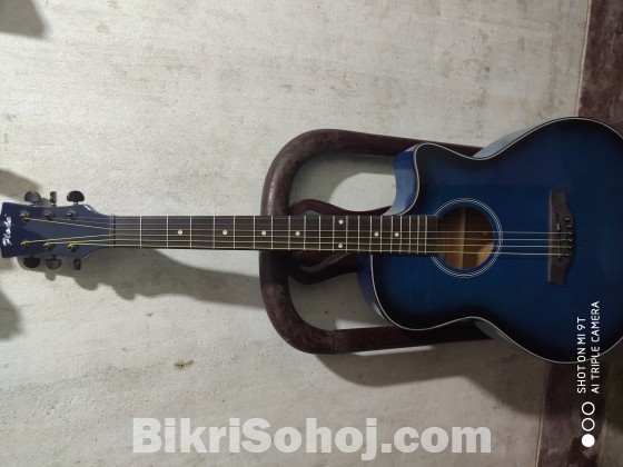 Floda premium acoustic guitar